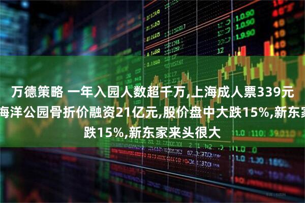 万德策略 一年入园人数超千万,上海成人票339元!国内最大海洋公园骨折价融资21亿元,股价盘中大跌15%,新东家来头很大