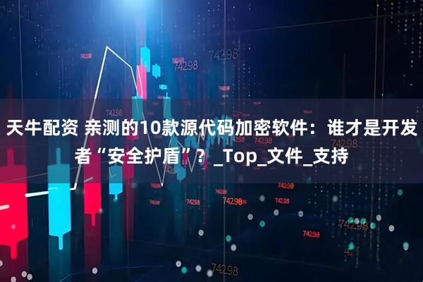 天牛配资 亲测的10款源代码加密软件：谁才是开发者“安全护盾”？_Top_文件_支持