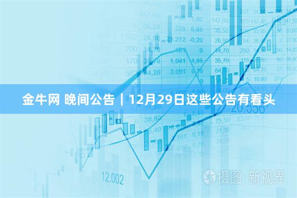 金牛网 晚间公告｜12月29日这些公告有看头